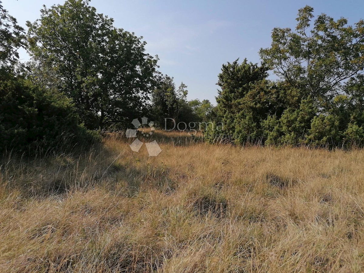 Terreno Šišan, Ližnjan, 4.606m2