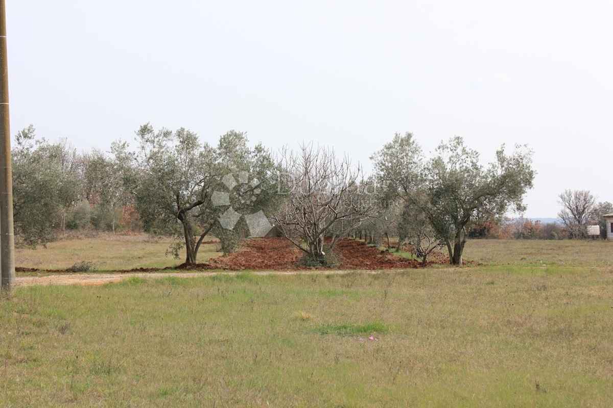 Terreno Vodnjan, 1.062m2