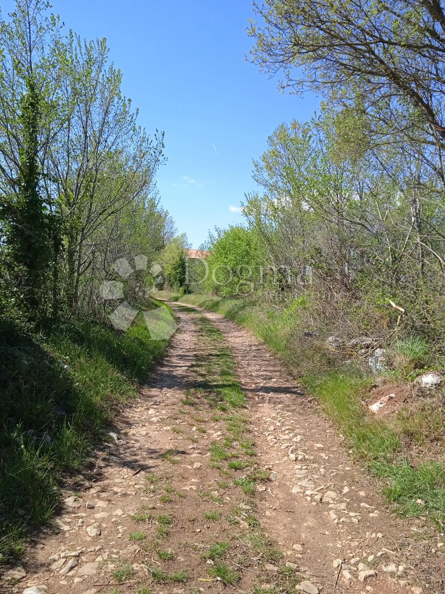 Terreno Vodnjan, 8.269m2