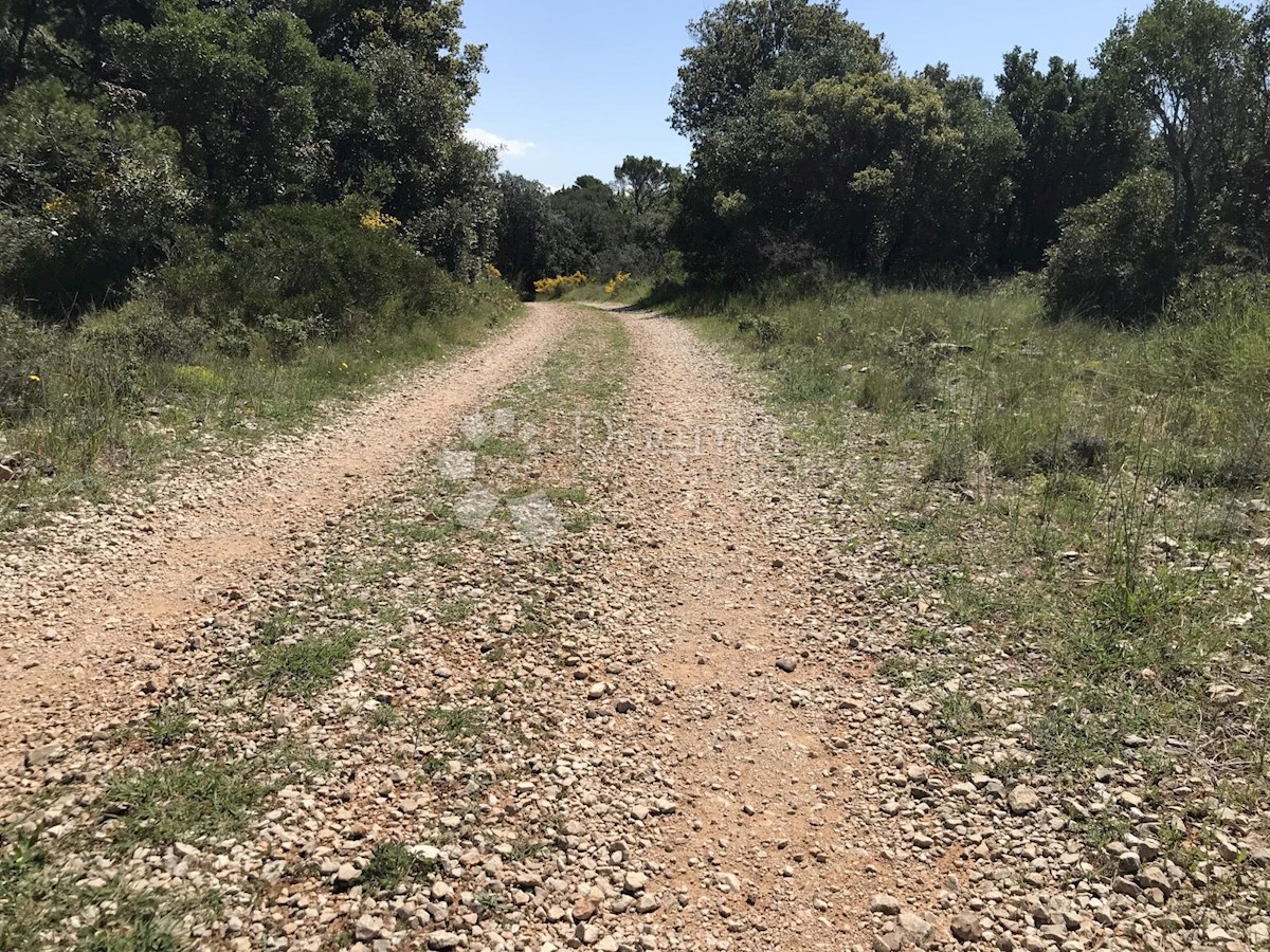 Terreno Čilipi, Konavle, 5.042m2