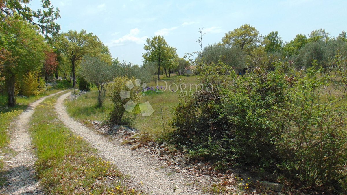Terreno Rovinj, 17.000m2