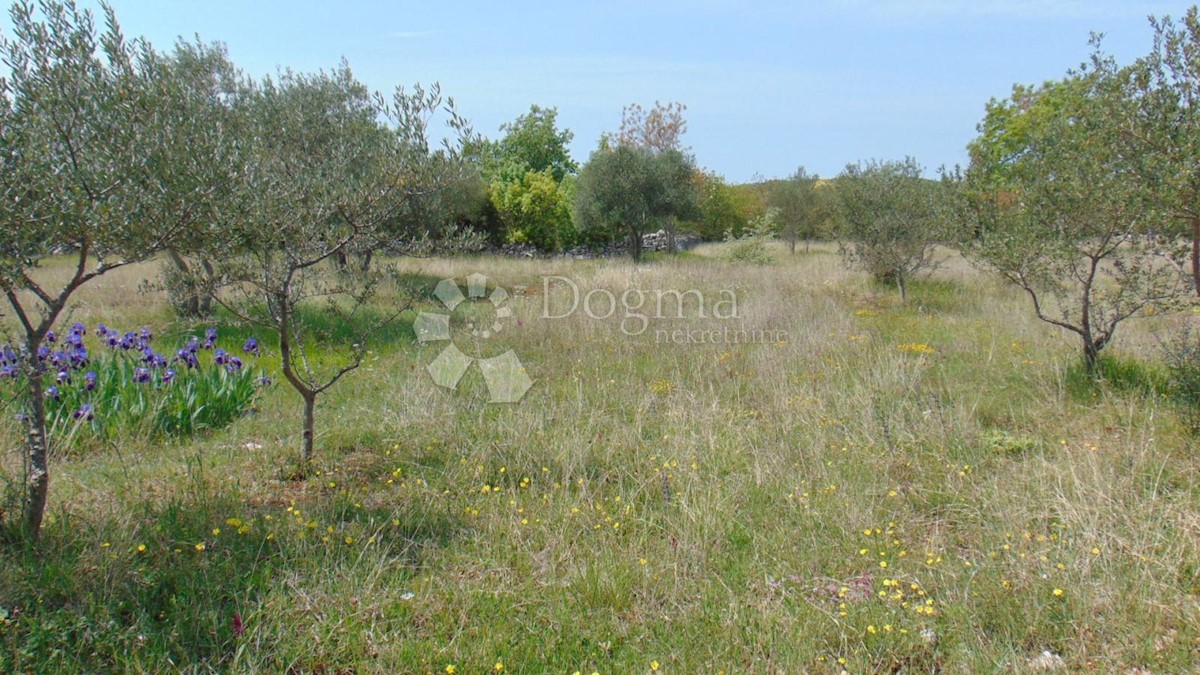 Terreno Rovinj, 17.000m2