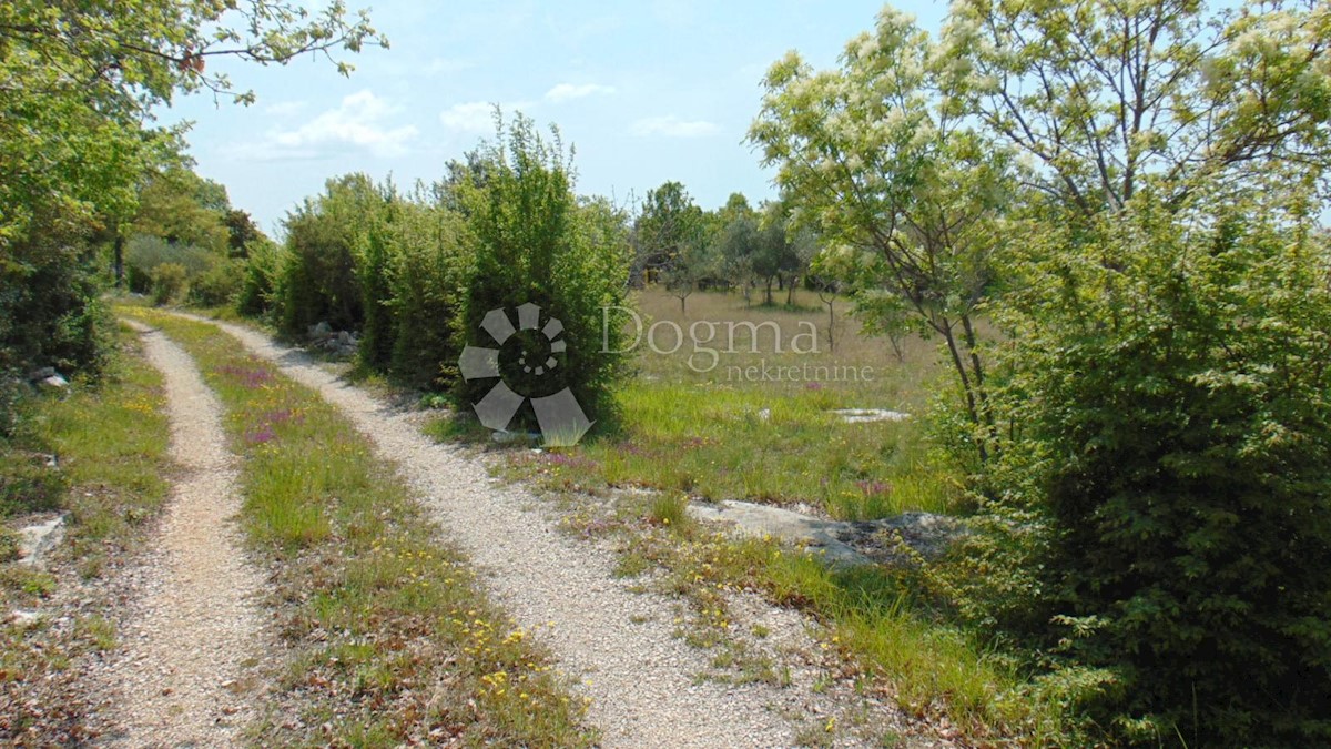 Terreno Rovinj, 17.000m2