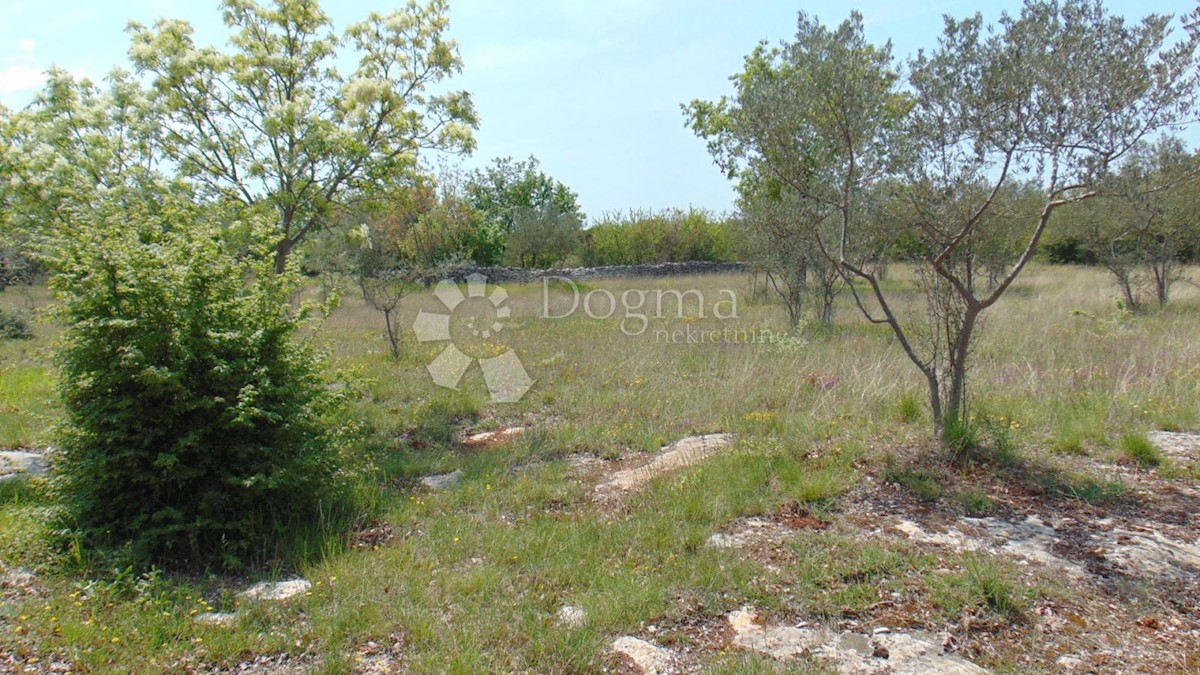 Terreno Rovinj, 17.000m2