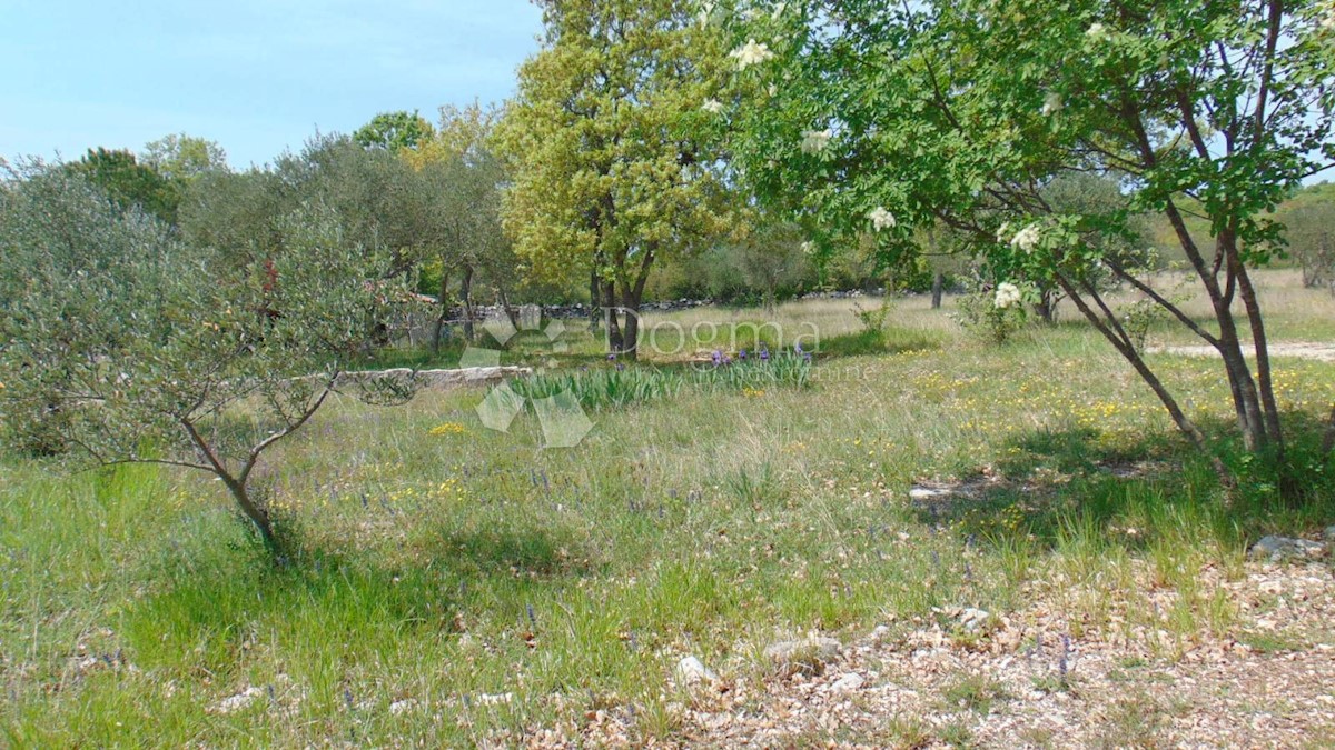 Terreno Rovinj, 17.000m2