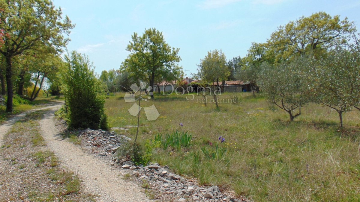 Terreno Rovinj, 17.000m2