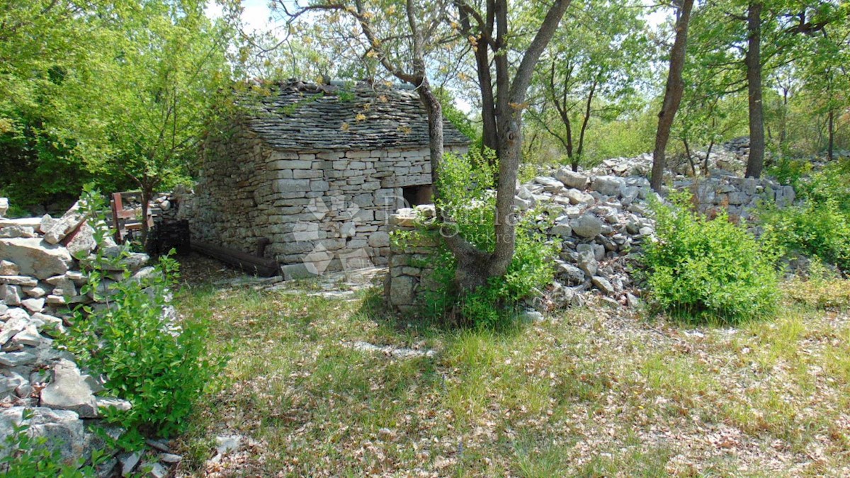 Terreno Rovinj, 17.000m2