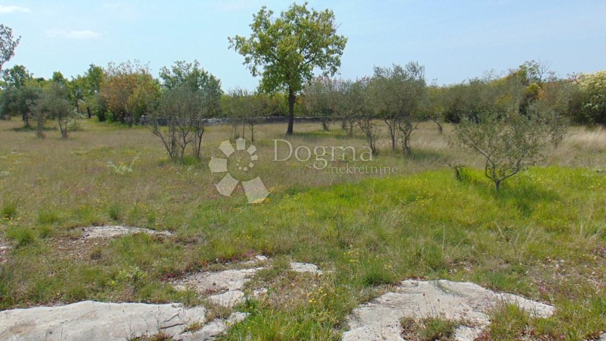 Terreno Rovinj, 17.000m2
