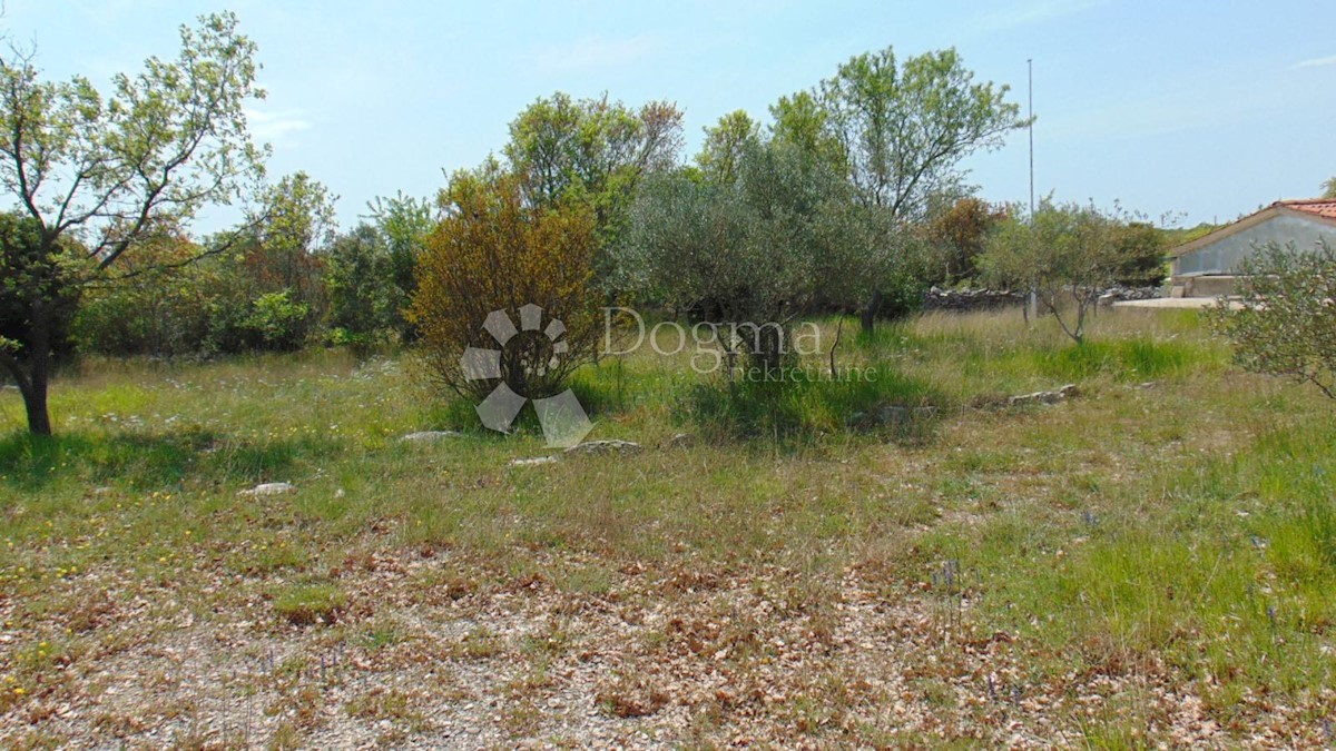 Terreno Rovinj, 17.000m2
