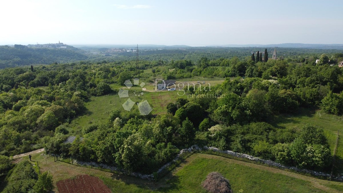 Terreno con ruderi in mezzo al verde 