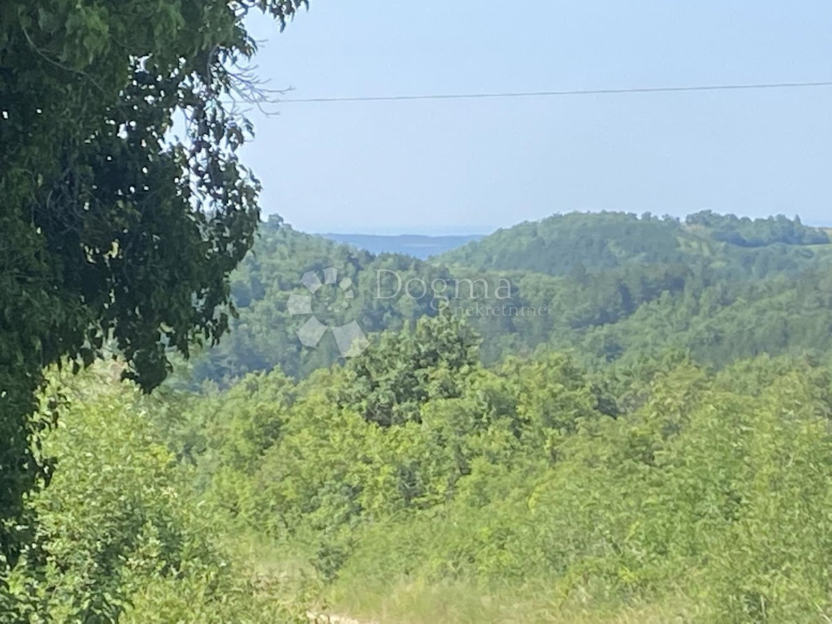 Terreno con ruderi in mezzo al verde 