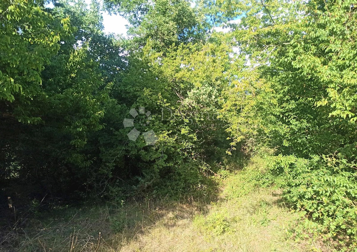 Terreno Orbanići, Marčana, 8.547m2