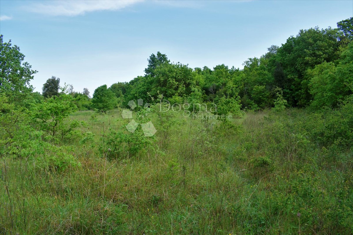 SPAZIOSO TERRENO AGRICOLO