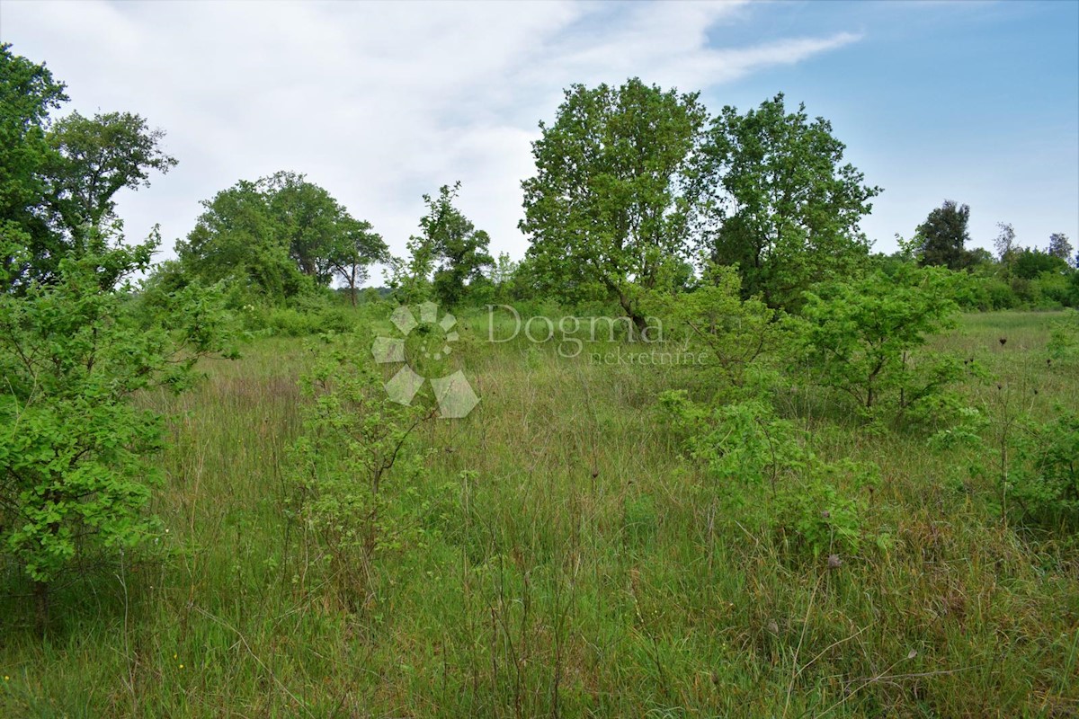 SPAZIOSO TERRENO AGRICOLO