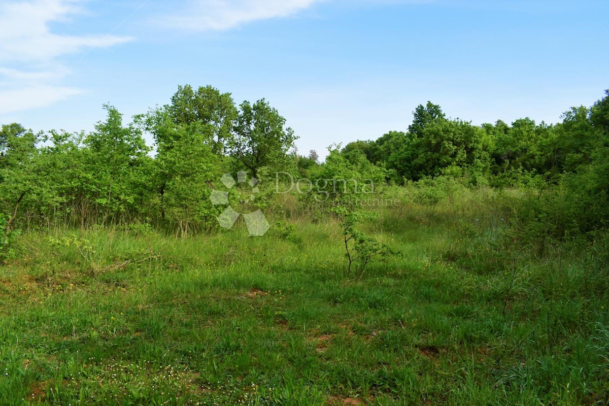 SPAZIOSO TERRENO AGRICOLO