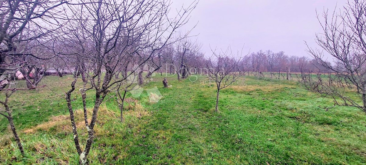 Casa Boljunsko Polje, Lupoglav, 84m2