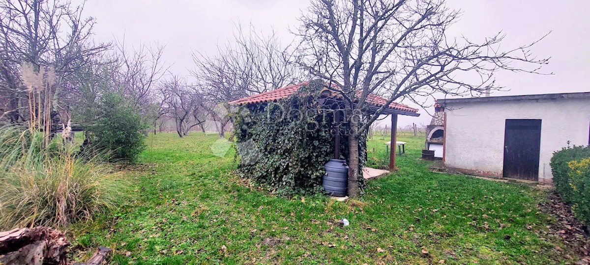 Casa Boljunsko Polje, Lupoglav, 84m2