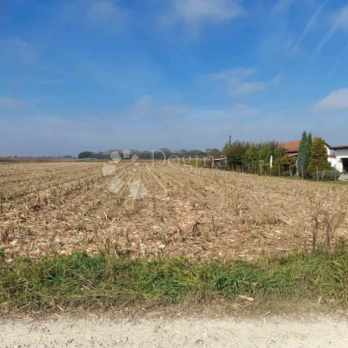 Terreno Ludbreg, 8.188m2