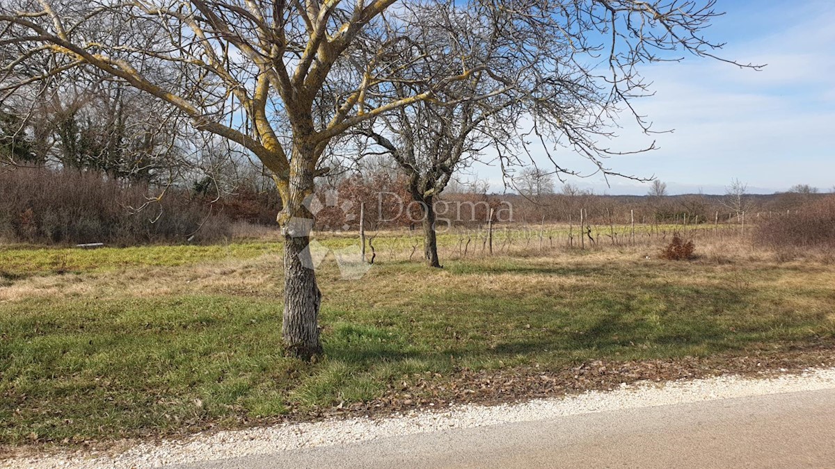 Terreno Balići I, Žminj, 4.744m2