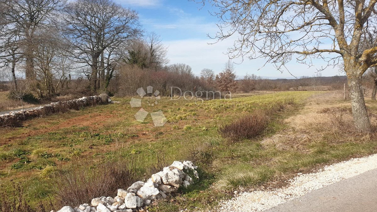 Terreno Balići I, Žminj, 4.744m2