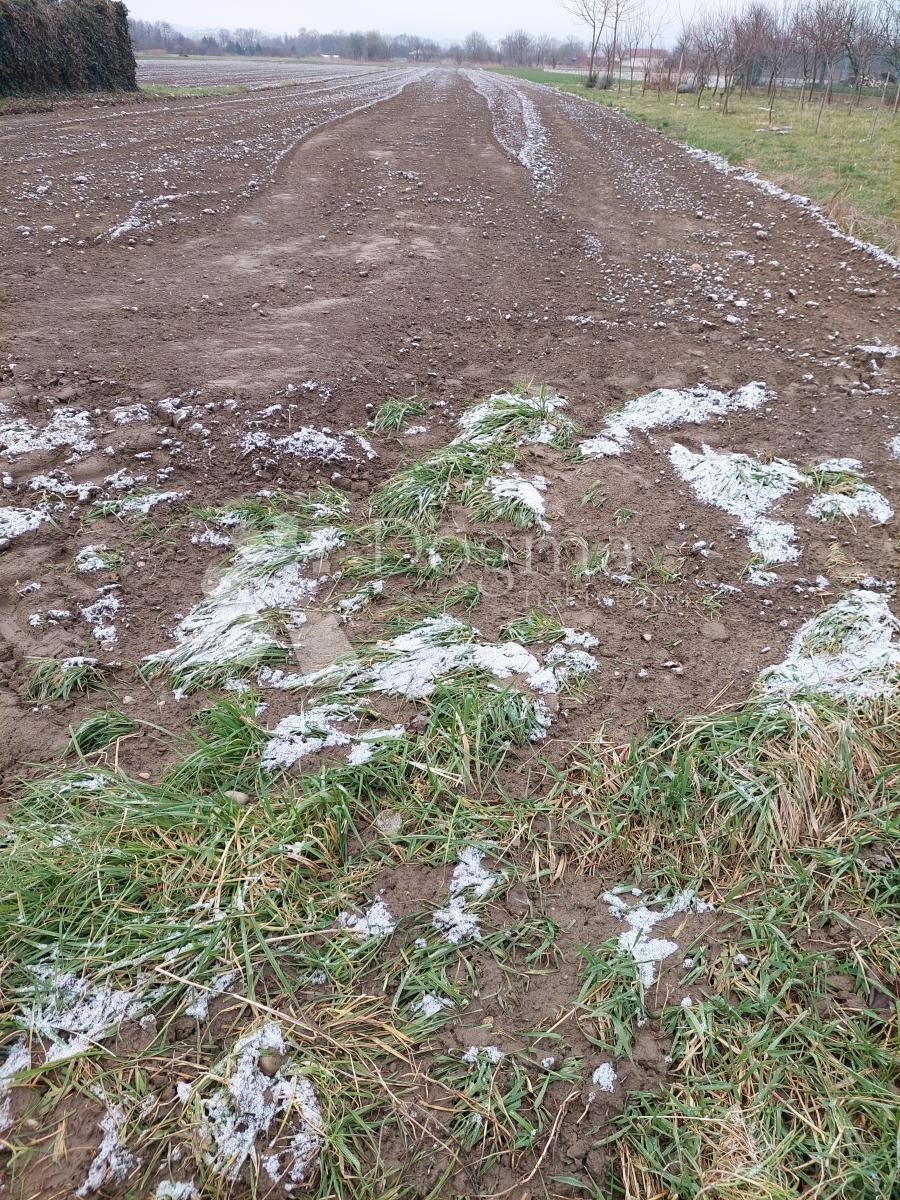 Terreno Biškupec, Varaždin, 2.953m2