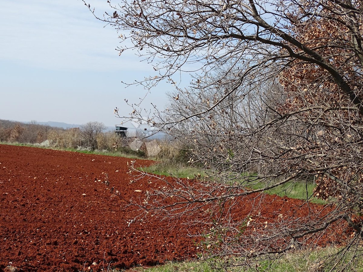 Terreno Kaštelir, Kaštelir-Labinci, 57.374m2