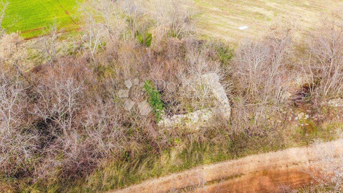 Terreno Kaštelir, Kaštelir-Labinci, 57.374m2