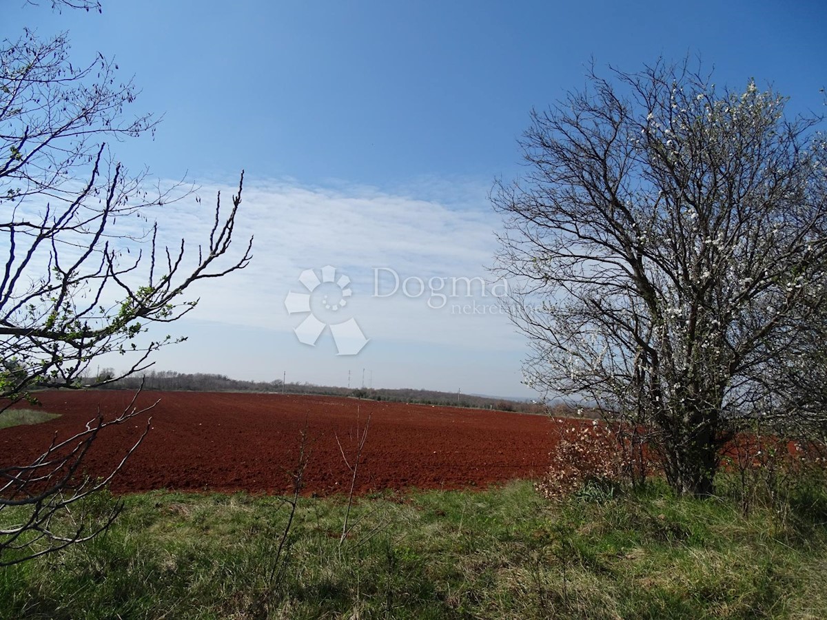 Terreno Kaštelir, Kaštelir-Labinci, 57.374m2