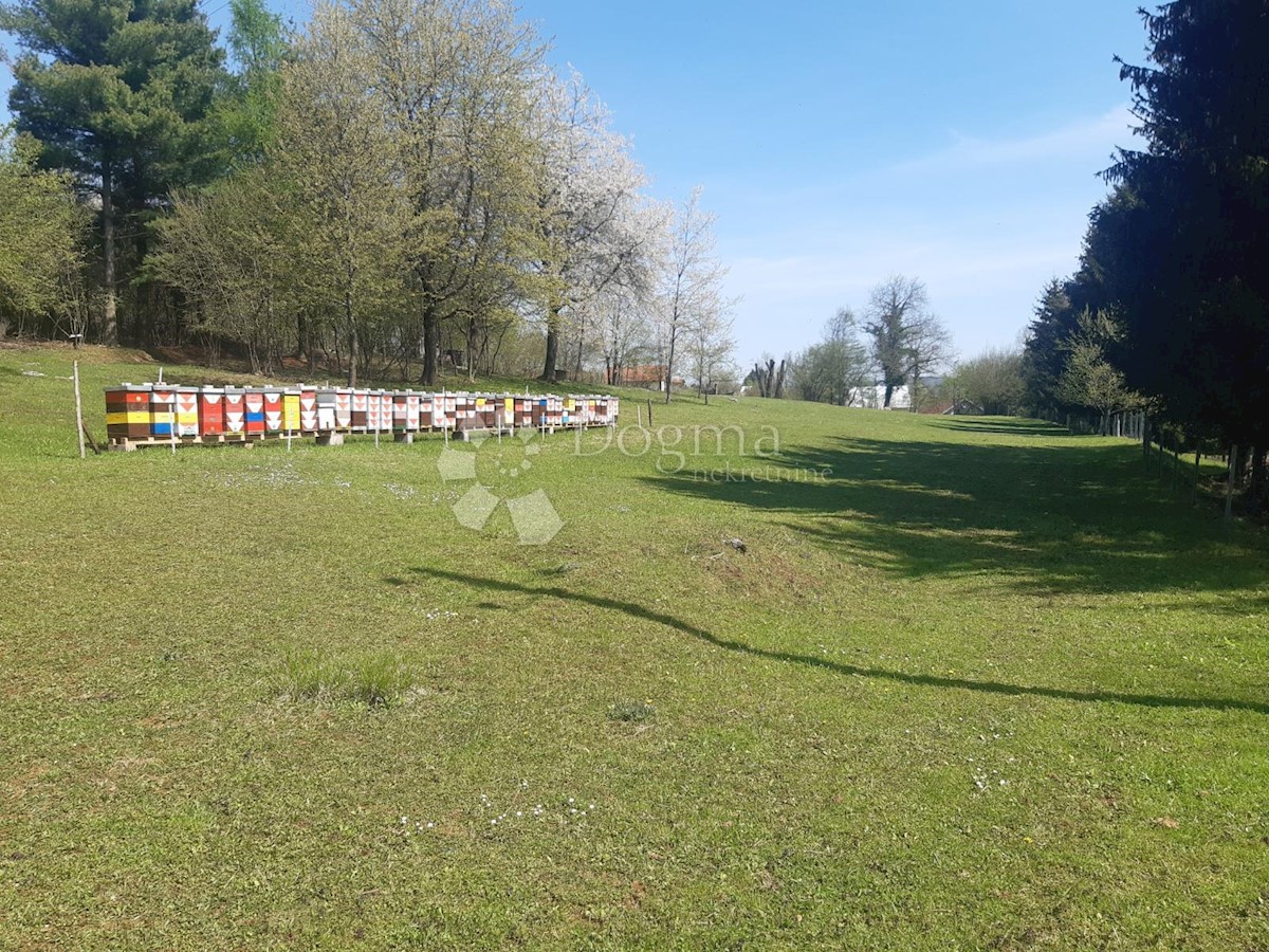 Terreno Ogulin, 17.600m2