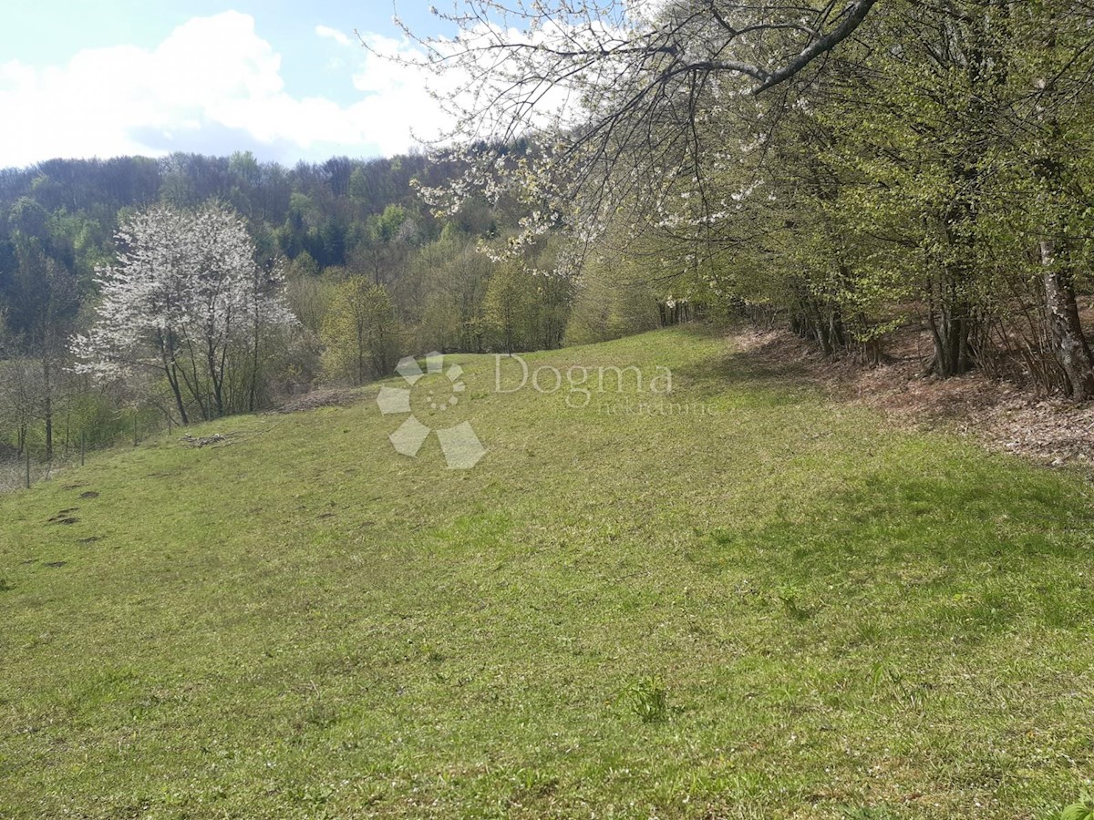 Terreno Ogulin, 17.600m2