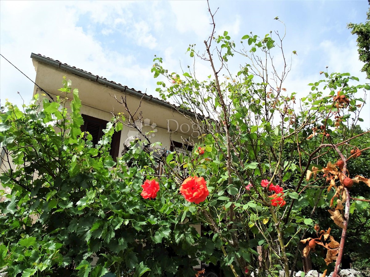 Casa Ročko Polje, Buzet, 81m2