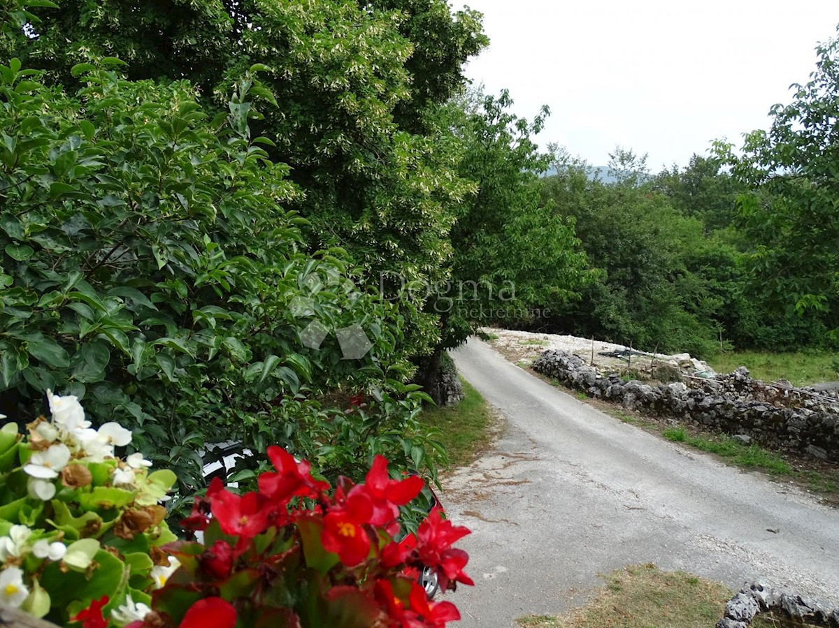 Casa Ročko Polje, Buzet, 81m2