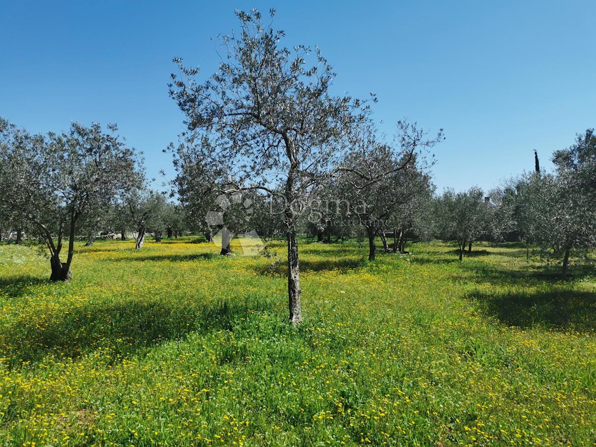 Terreno Fažana, 2.100m2