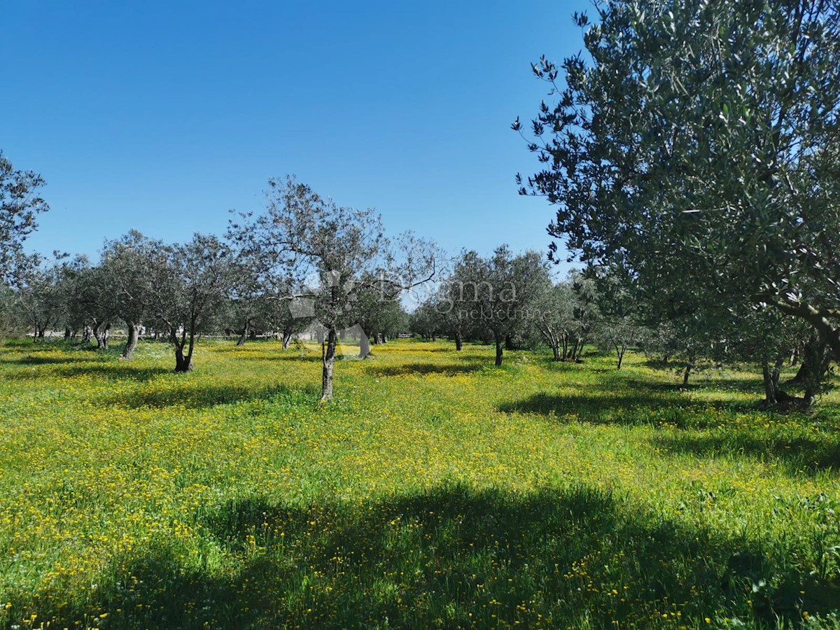 Terreno Fažana, 2.100m2