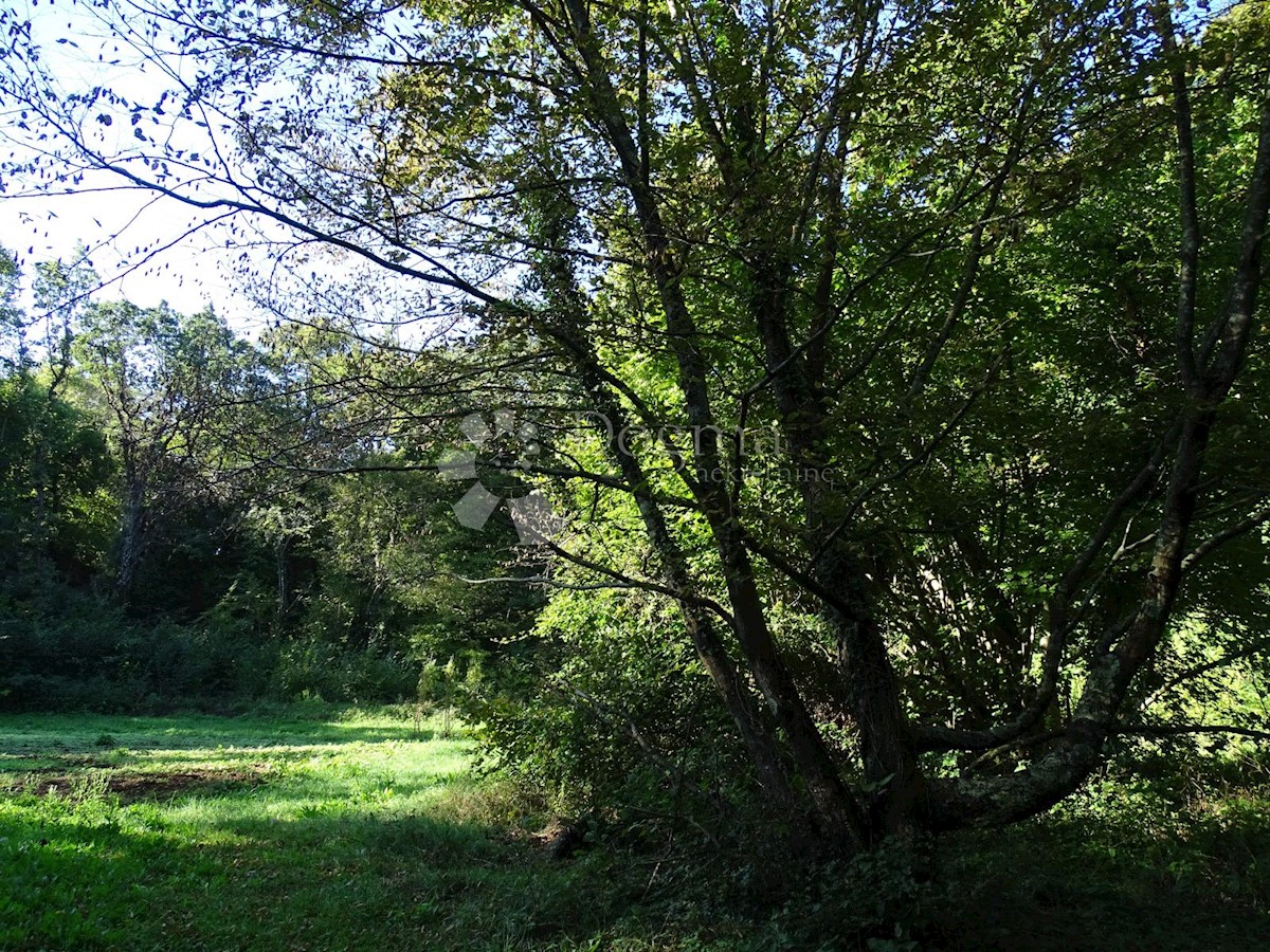 Terreno Veprinac, Opatija - Okolica, 2.275m2
