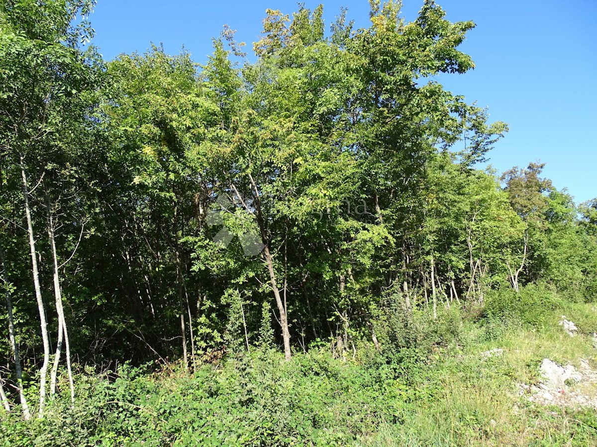 Terreno Veprinac, Opatija - Okolica, 2.275m2