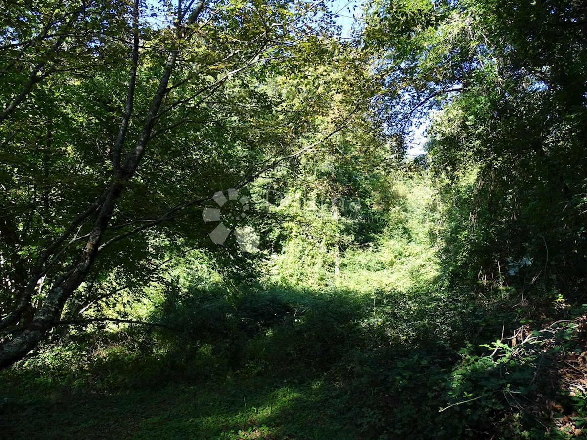 Terreno Veprinac, Opatija - Okolica, 2.275m2