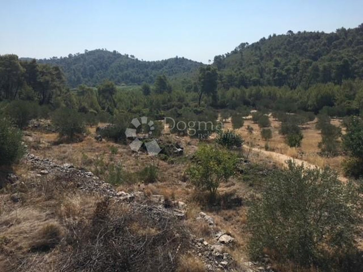 Terreno Prižba, Blato, 95.187m2