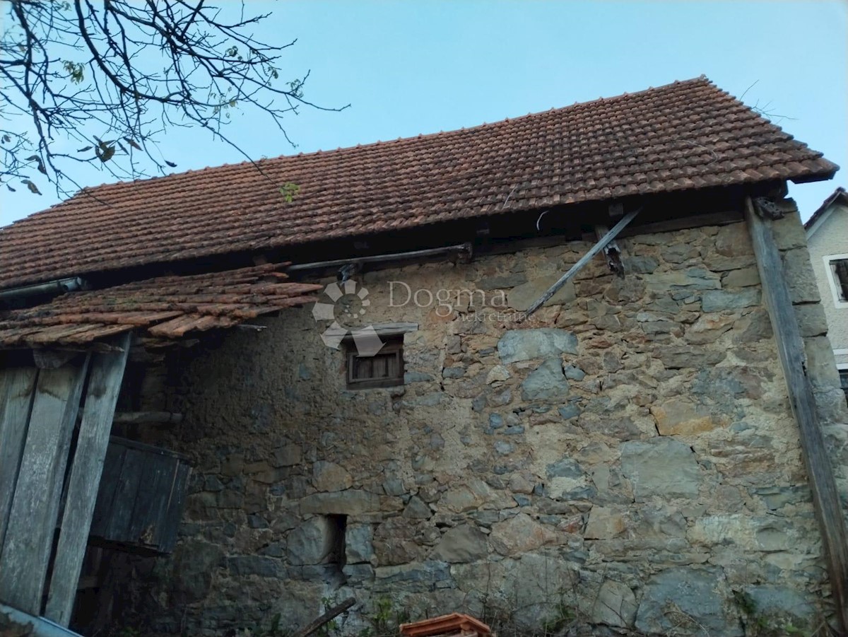 Casa Vinski Vrh, Netretić, 9000m2