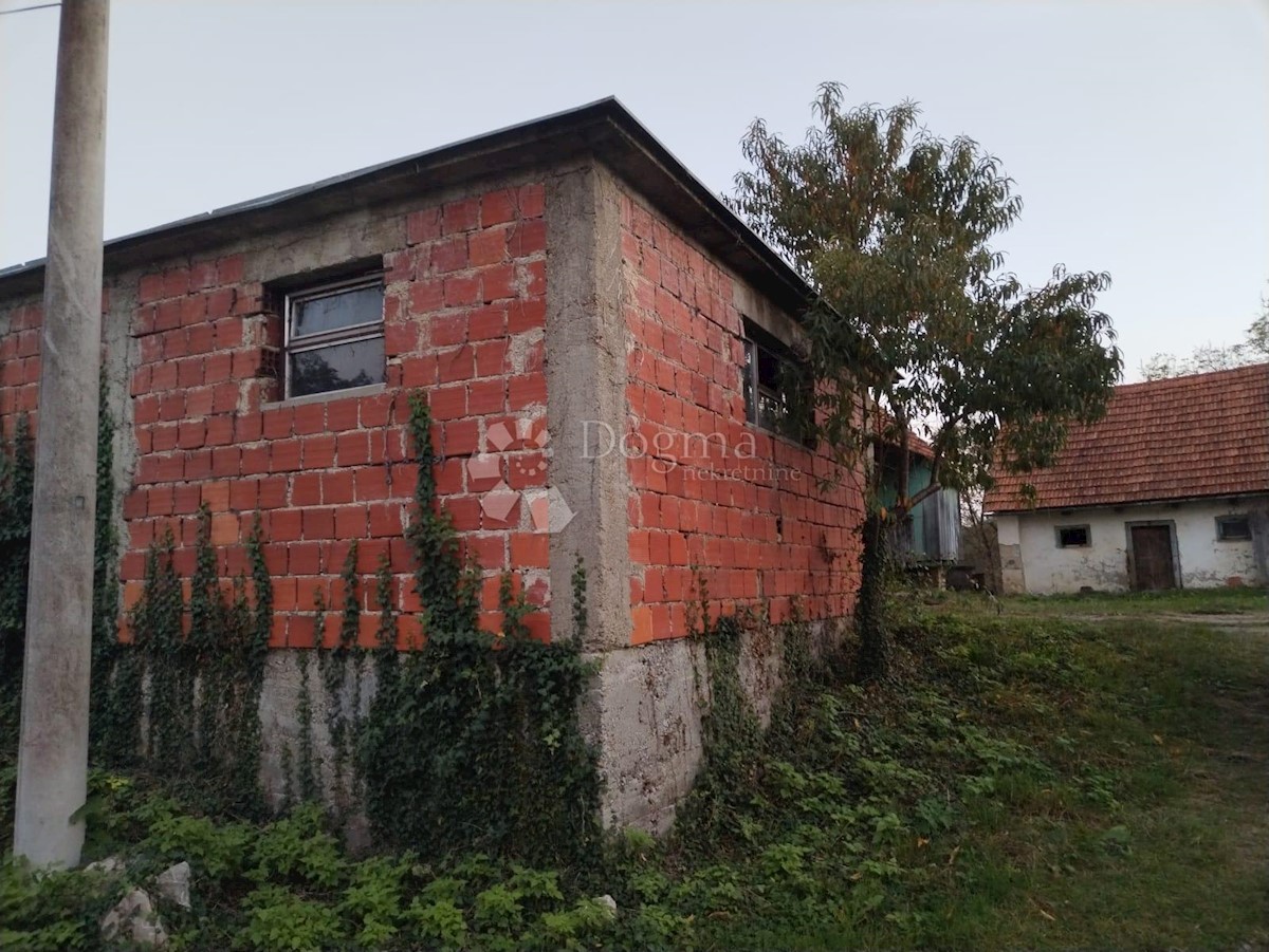 Casa Vinski Vrh, Netretić, 9000m2