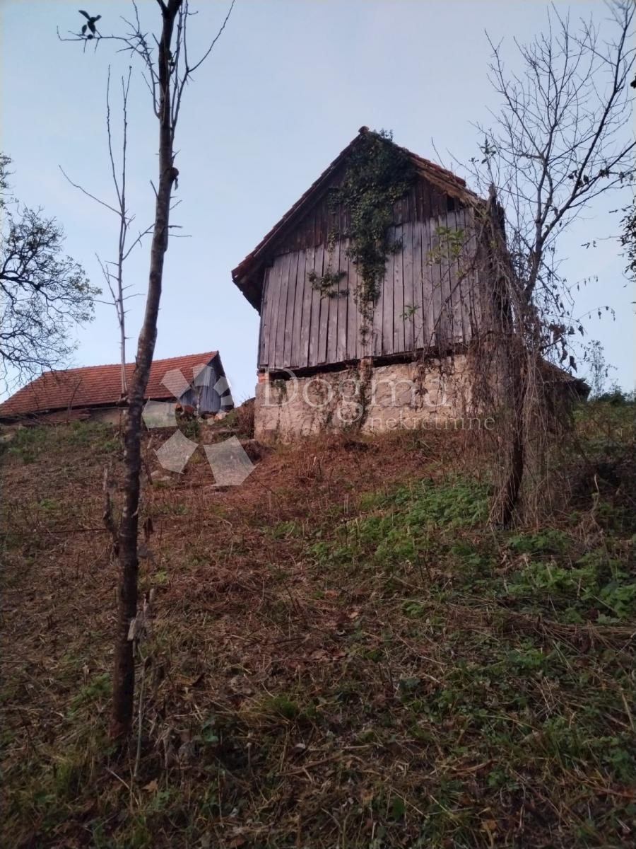 Casa Vinski Vrh, Netretić, 9000m2