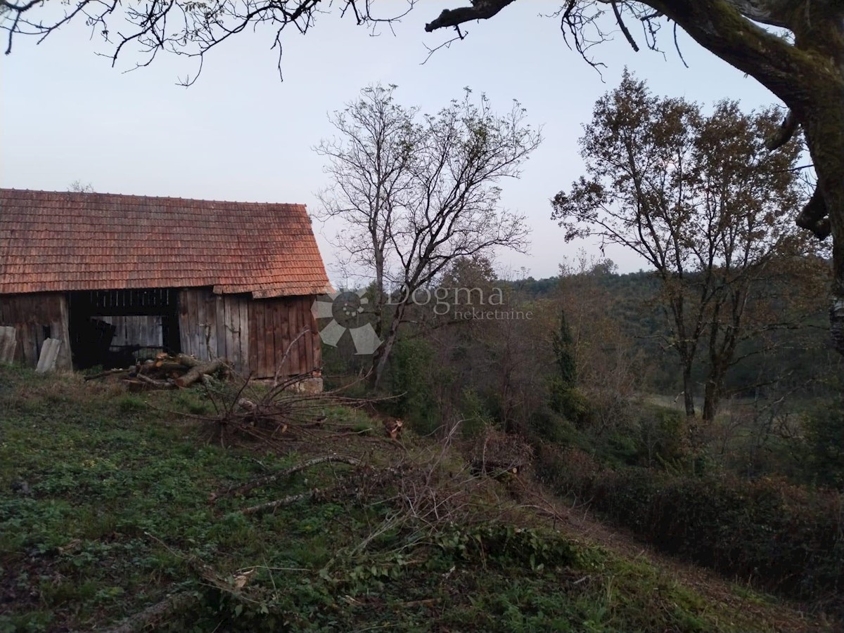 Casa Vinski Vrh, Netretić, 9000m2