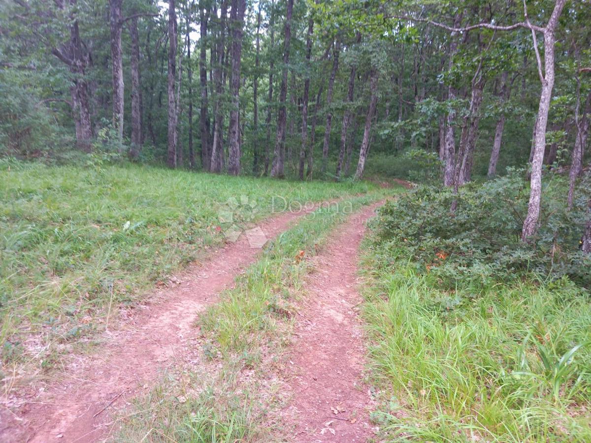 Terreno Bruvno, Gračac, 18.101m2