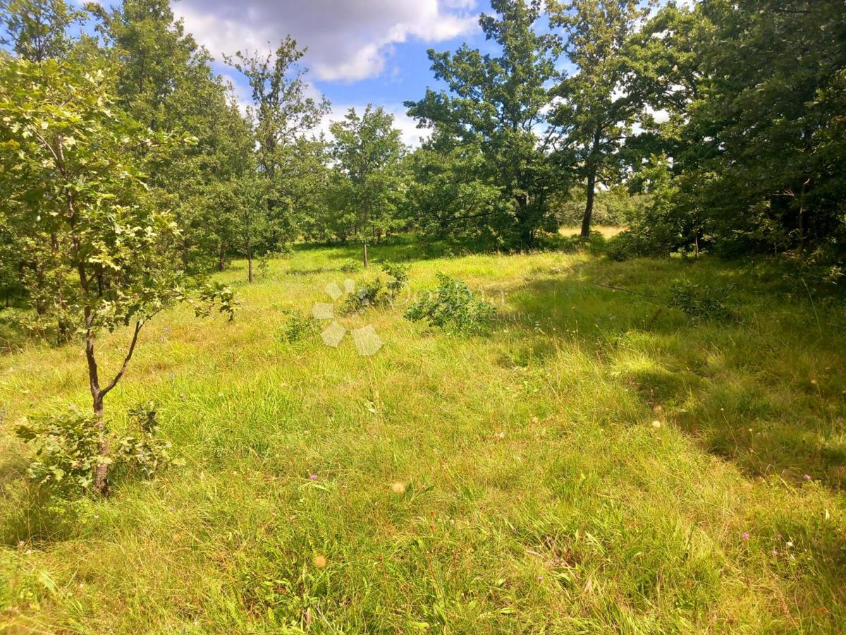 Terreno Bruvno, Gračac, 18.101m2