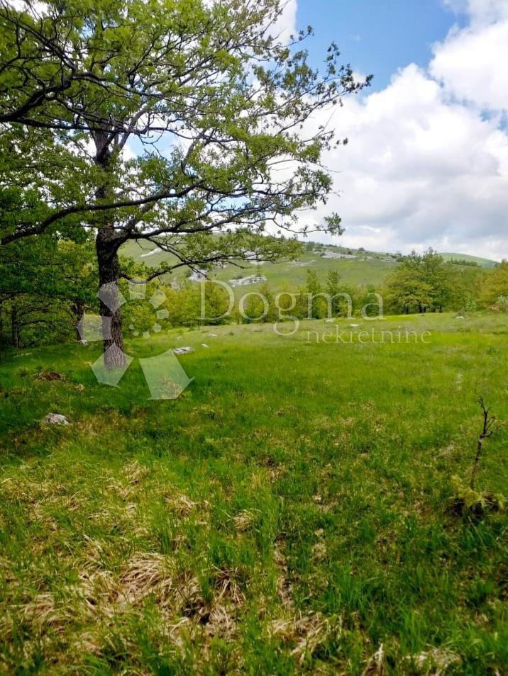 Terreno Bruvno, Gračac, 18.101m2