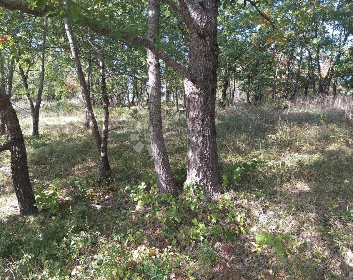 Terreno Bruvno, Gračac, 18.101m2