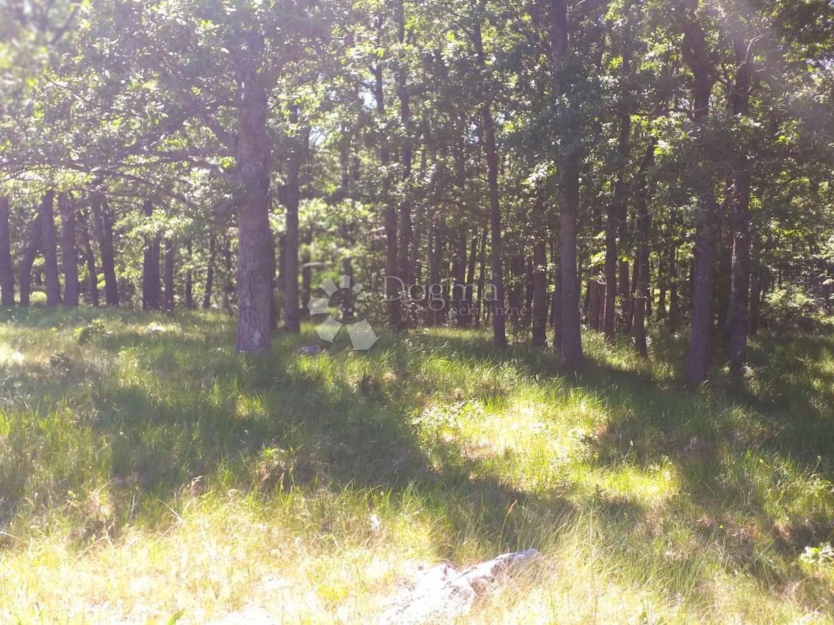 Terreno Bruvno, Gračac, 18.101m2