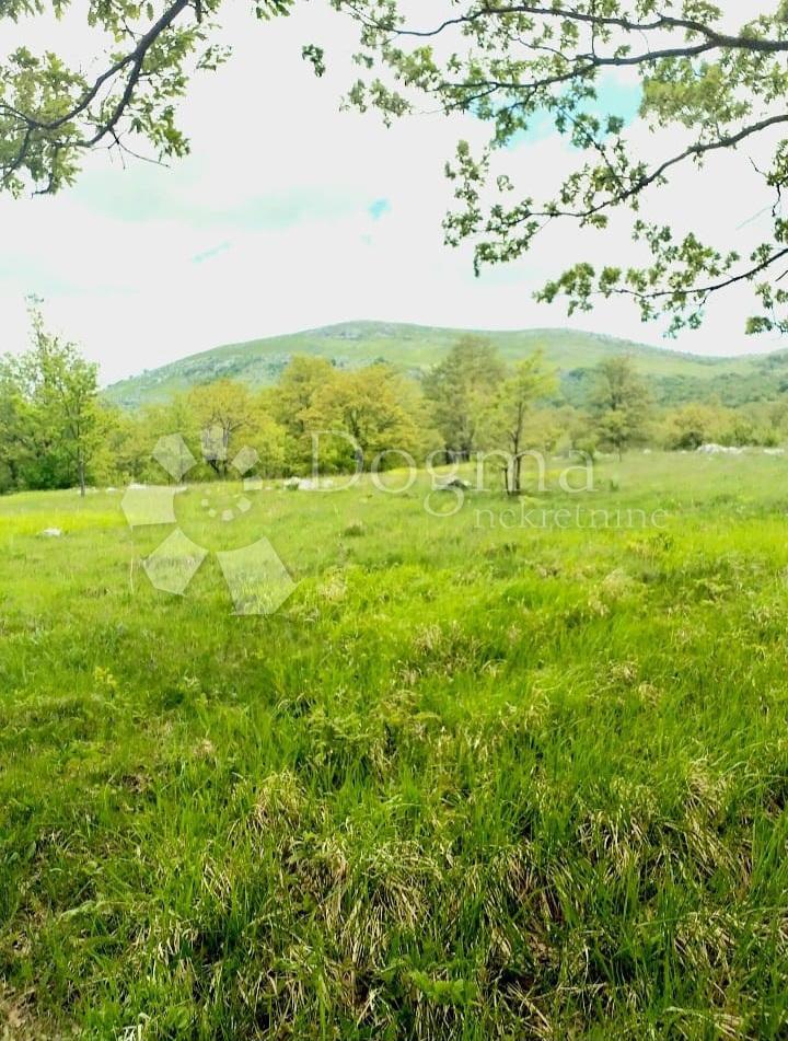 Terreno Bruvno, Gračac, 18.101m2