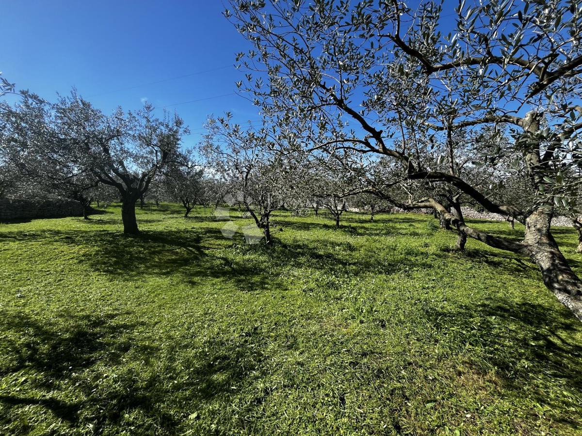 Terreno Fažana, 2.252m2