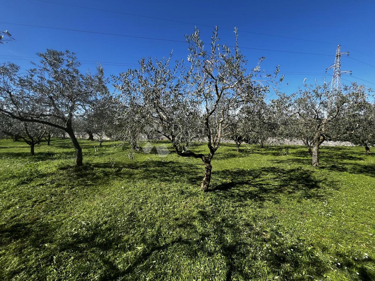 Terreno Fažana, 2.252m2